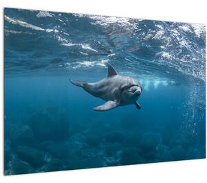 Slika - Dupin ispod površine mora (90x60 cm)