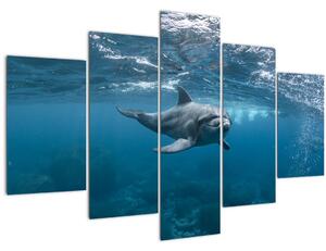 Slika - Dupin ispod površine mora (150x105 cm)