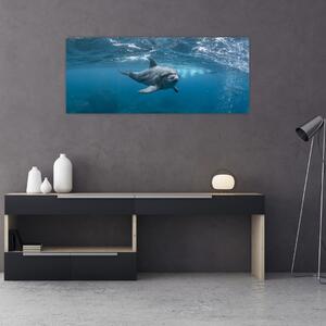 Slika - Dupin ispod površine mora (120x50 cm)