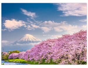 Slika - Japanski proljetni krajolik (70x50 cm)