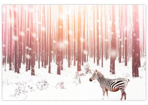 Slika - Zebra u snježnoj šumi (90x60 cm)