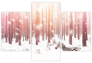 Slika - Zebra u snježnoj šumi (90x60 cm)
