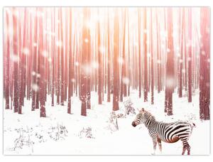Slika - Zebra u snježnoj šumi (70x50 cm)