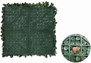 Zeleni zidni panel Mystic Garden 50 x 50 UV - zelena - 31 - 50 cm - DA