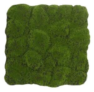 Panel od umjetne mahovine MossArt 50 x 50 cm - zelena - 31 - 50 cm