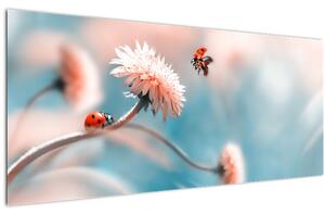 Slika - Bubamare na cvijetu (120x50 cm)