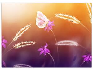Slika - Ružičasti leptir (70x50 cm)