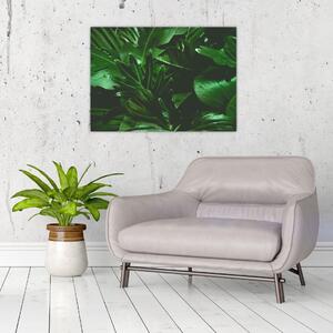 Slika - Lišće palme (70x50 cm)