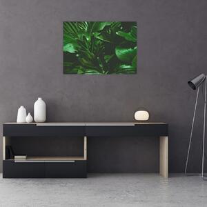 Slika - Lišće palme (70x50 cm)