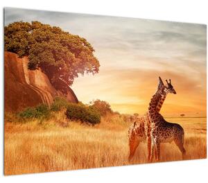 Slika - Žirafe u Africi (90x60 cm)