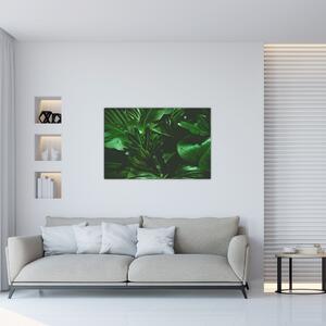 Slika - Lišće palme (90x60 cm)