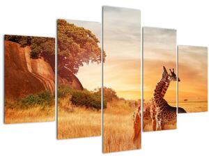 Slika - Žirafe u Africi (150x105 cm)