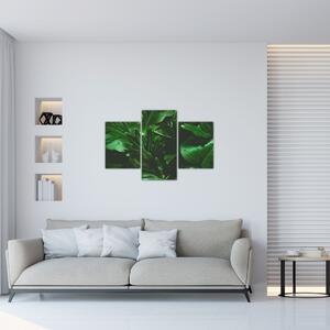 Slika - Lišće palme (90x60 cm)