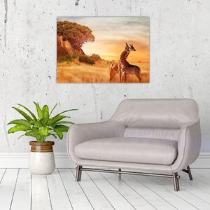 Slika - Žirafe u Africi (70x50 cm)