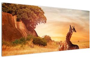 Slika - Žirafe u Africi (120x50 cm)