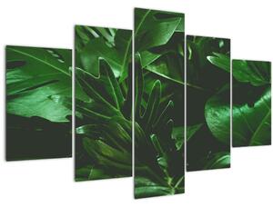 Slika - Lišće palme (150x105 cm)