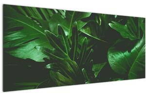 Slika - Lišće palme (120x50 cm)