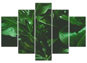 Slika - Lišće palme (150x105 cm)