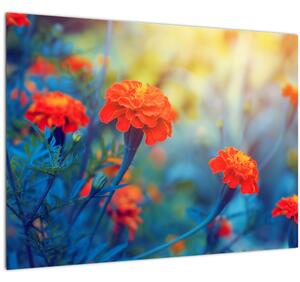 Staklena slika - Narančasti cvjetovi (70x50 cm)