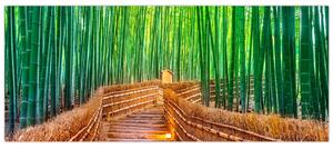 Slika - Šuma japanskog bambusa (120x50 cm)