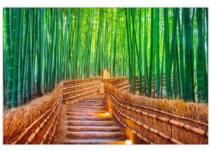 Slika - Šuma japanskog bambusa (90x60 cm)