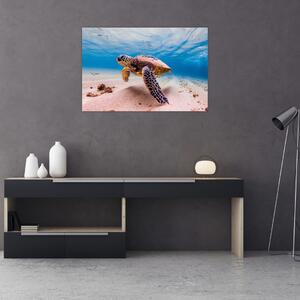 Slika - Kornjača u oceanu (90x60 cm)