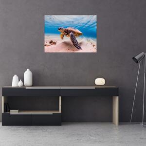 Slika - Kornjača u oceanu (70x50 cm)