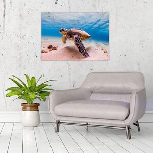 Slika - Kornjača u oceanu (70x50 cm)