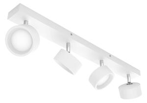 Philips - LED Reflektorska svjetiljka BRACIA 4xLED/5,5W/230V bijela