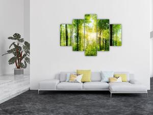 Slika - Zora u šumi (150x105 cm)