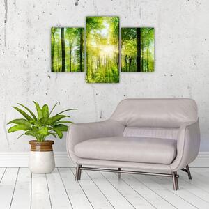 Slika - Zora u šumi (90x60 cm)