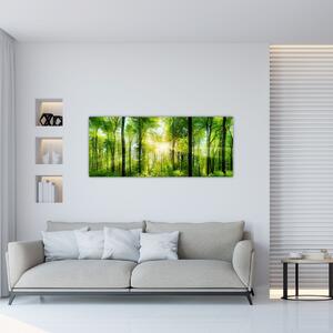 Slika - Zora u šumi (120x50 cm)