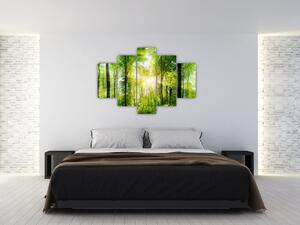 Slika - Zora u šumi (150x105 cm)
