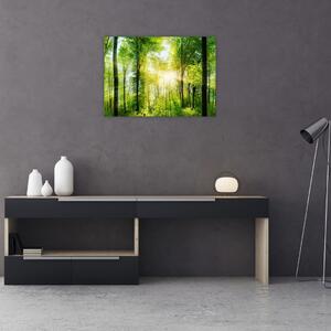 Slika - Zora u šumi (70x50 cm)