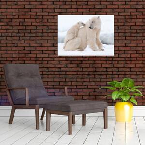 Slika - Polarni medvjedi (70x50 cm)