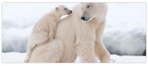 Slika - Polarni medvjedi (120x50 cm)