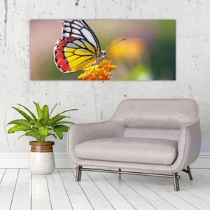 Slika - Leptir na cvijetu (120x50 cm)
