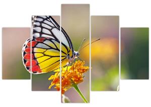 Slika - Leptir na cvijetu (150x105 cm)