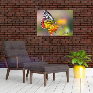 Slika - Leptir na cvijetu (70x50 cm)