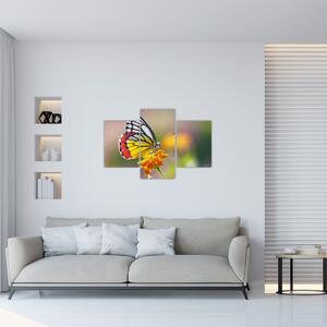 Slika - Leptir na cvijetu (90x60 cm)