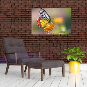 Slika - Leptir na cvijetu (90x60 cm)