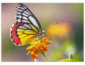 Slika - Leptir na cvijetu (70x50 cm)