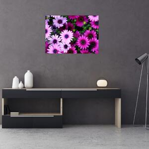 Slika - Cvijeće (70x50 cm)