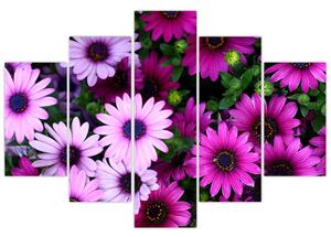 Slika - Cvijeće (150x105 cm)