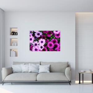 Slika - Cvijeće (90x60 cm)