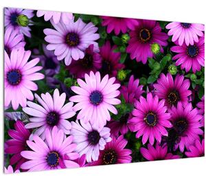 Slika - Cvijeće (90x60 cm)