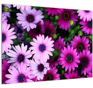 Slika - Cvijeće (70x50 cm)