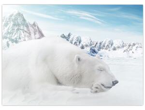 Staklena slika - Polarni medvjed (70x50 cm)