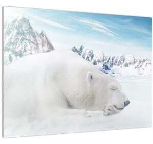 Slika - Polarni medvjed (70x50 cm)