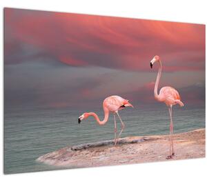 Slika Flaminga (90x60 cm)
